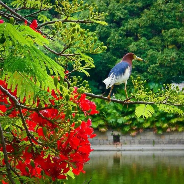 初夏吃什么好？